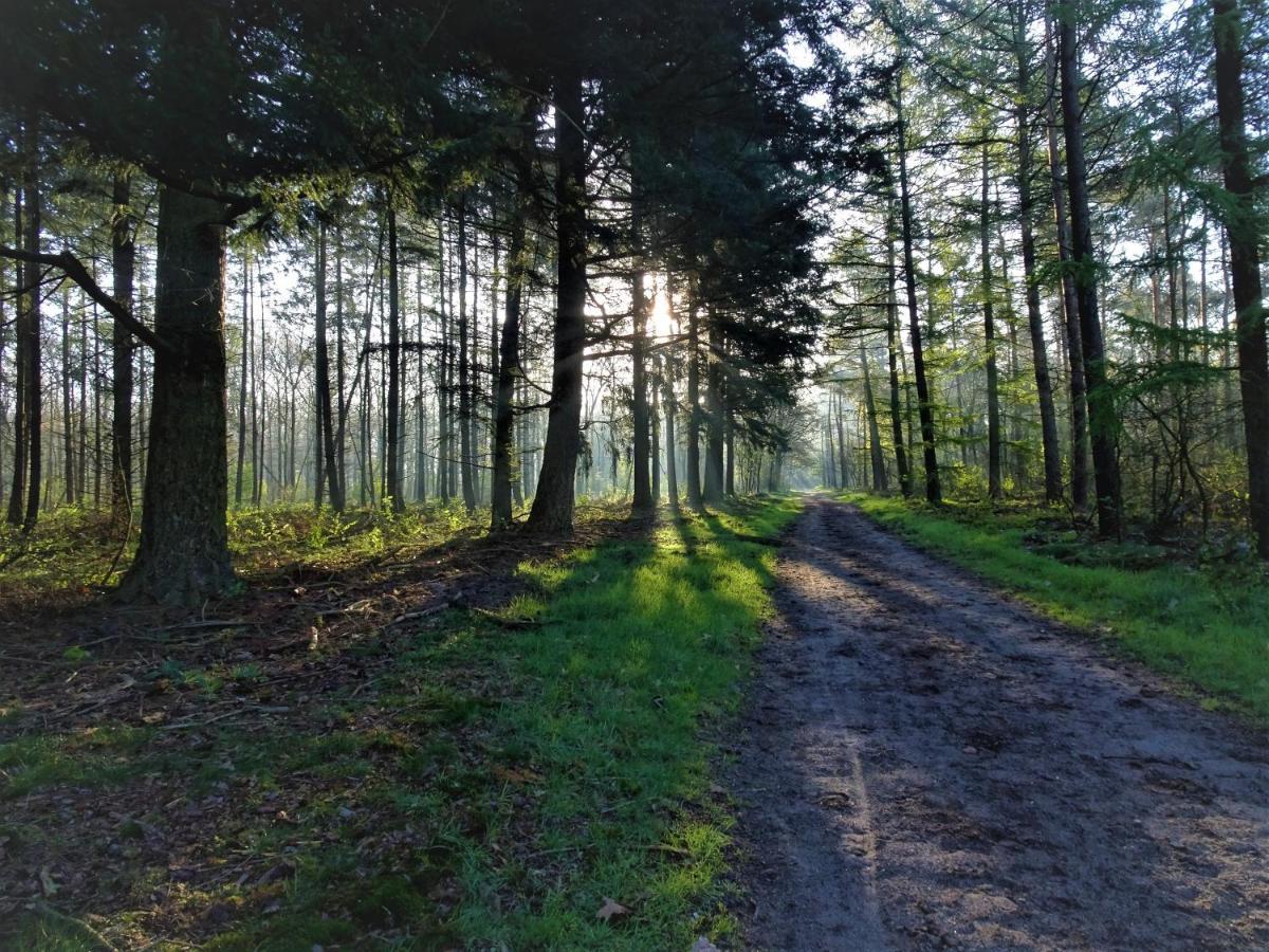 Veluwe Park Reewold Chalet Vision Putten Buitenkant foto